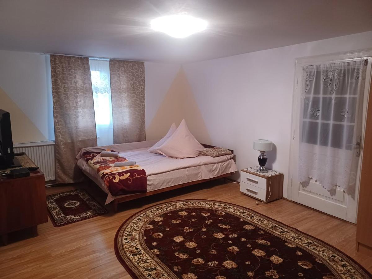 Casa Bucovina Dorna Candrenilor Ascutitele Екстериор снимка